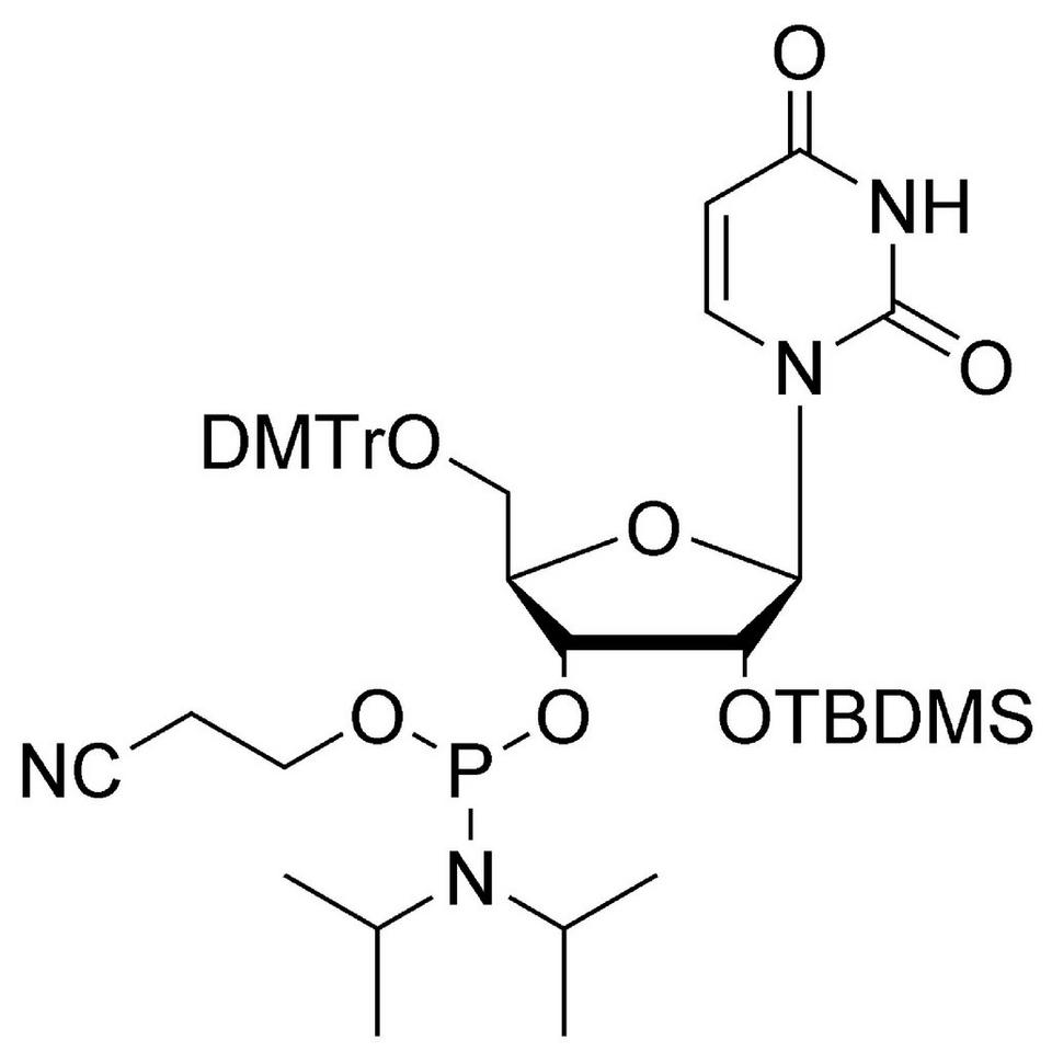 U CE-Phosphoramidite, 1 g, ABI (15 mL / 20 mm Septum)